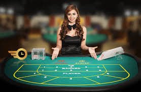 ivibet com