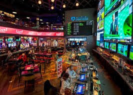 ivibet com