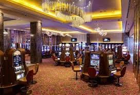 ivibet com