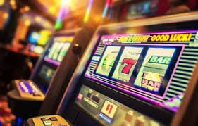 ivibet com