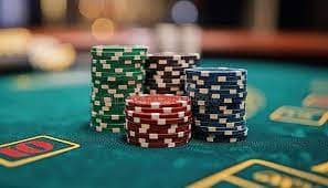 ivibet com