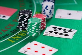 ivibet com