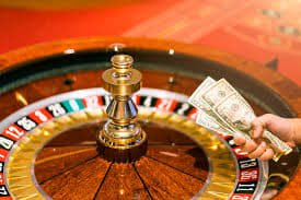 ivibet com